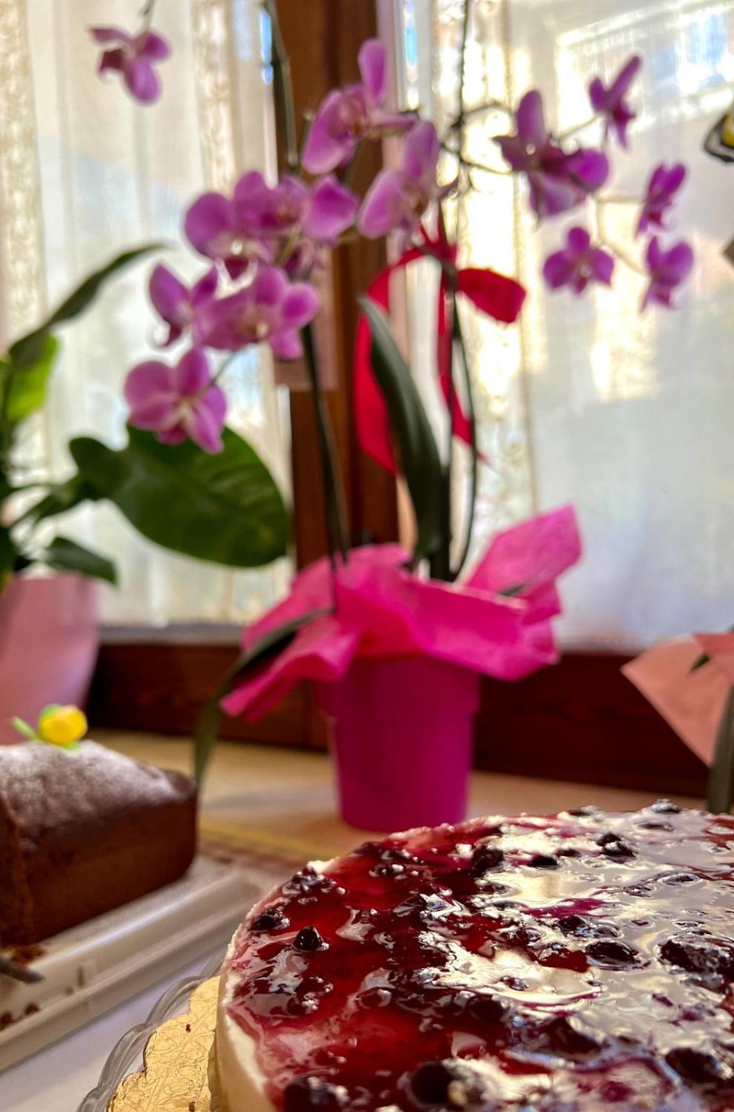 아제롤라 Il Ritrovo Delle Volpi B&B 외부 사진